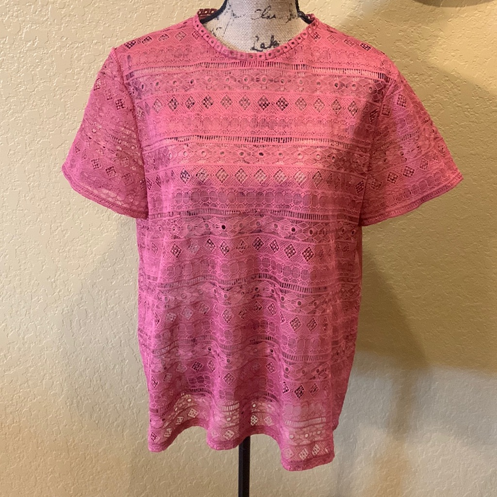 Loft Short Sleeve, Peach Lace Blouse, Xl, Like New | Offer In Description